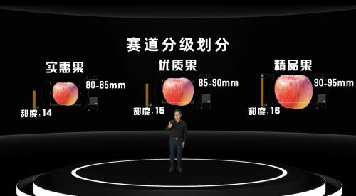 为了让消费者在网上买水果更省心，天猫水果发布了全新分级标准