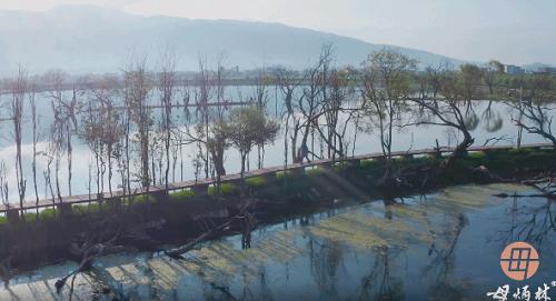  传承人母炳林借短视频展示制银工艺，抖音电商助力非遗传承与保护