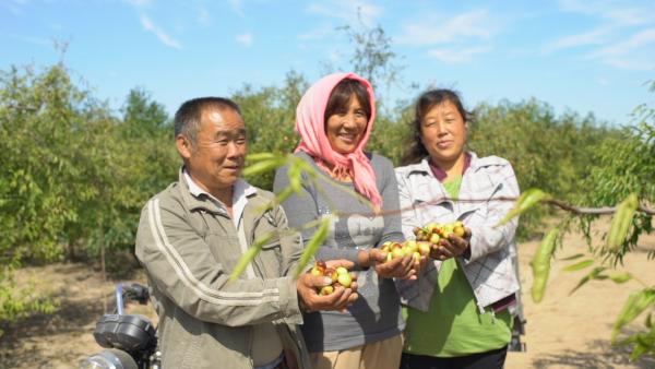  张智霖、李承铉高位成团，良品铺子致敬披荆斩棘的你