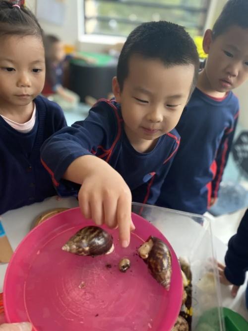  探访上海国际学校耀中YCIS：原来“玩中学”是这个样子！ 