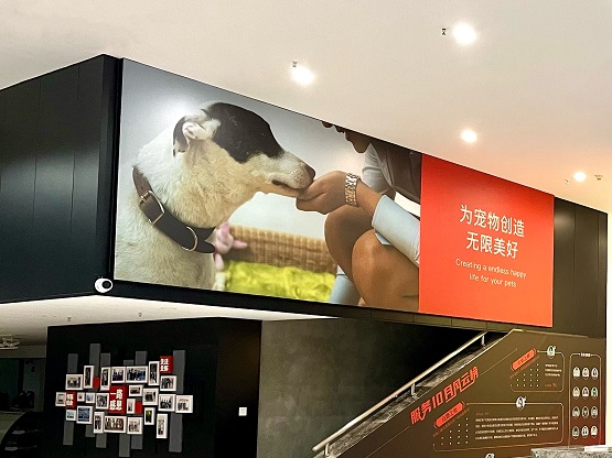 挖潜萌宠市场，易宠科技全渠道布局三千亿“它经济”