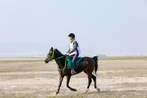 中国都昌马术名家耐力赛在鄱阳湖畔举行