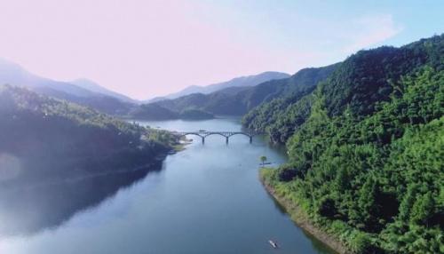  孙杨走进公益助农直播间，为“山沟沟里过大年”预热