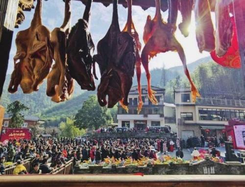  孙杨走进公益助农直播间，为“山沟沟里过大年”预热