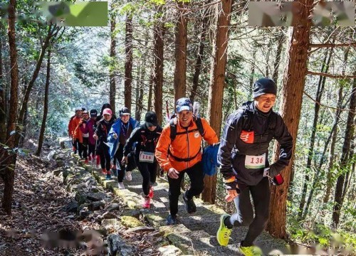 环浙·登顶11峰丽水站活动举行 