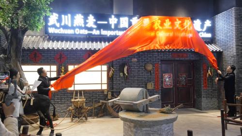  武川燕麦再获“国字号”，入选“中国重要农业文化遗产”