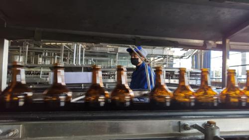  泰山原浆啤酒开启裂变模式，“千城万店”更进一步