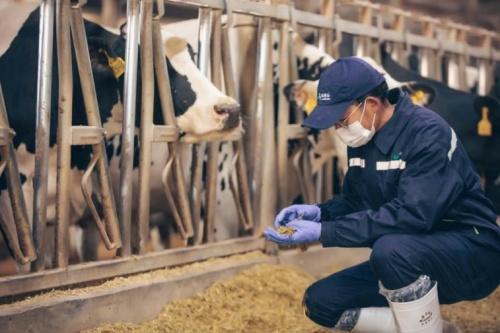  蒙牛荣获2021中国企业社会责任发展指数乳业第一