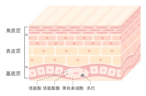  馥艾诺薇美白大作战，精准认知，科学变美