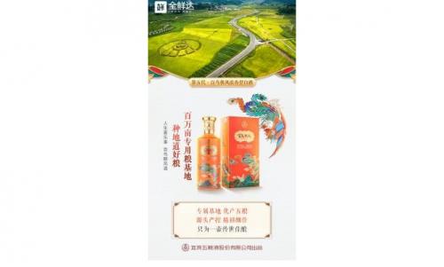 欢聚之时，全鲜达携手百鸟朝凤添福添彩