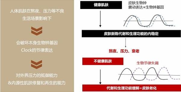 国货护肤赛道新营销模式，看佰草集如何推陈出新花样