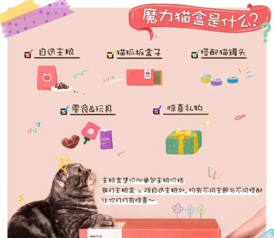  魔力猫盒入选《2021中国新消费发展洞察暨品牌力榜单》 刷新宠物消费市场
