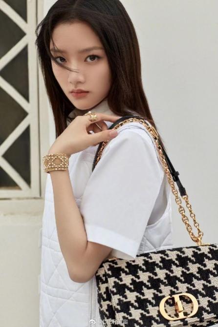  开启圣诞模式，收集心仪迪奥女士手提包