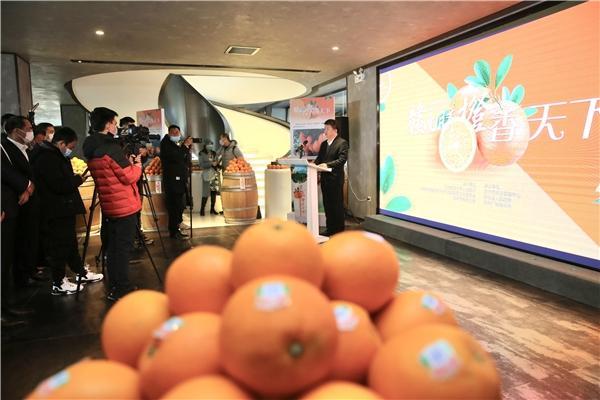  赣南脐橙文化周活动在北京正式启动