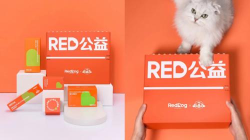 红狗RED公益 2021和我一起关爱流浪动物