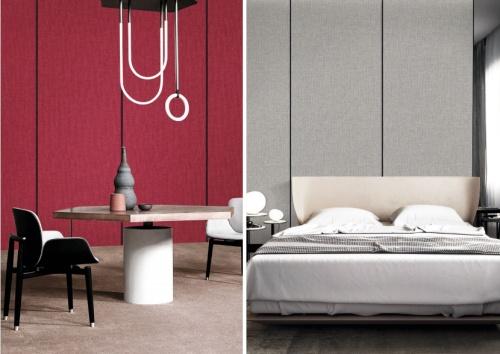 爱漫时回首2021，展望2028丨吾志所向 一往无前