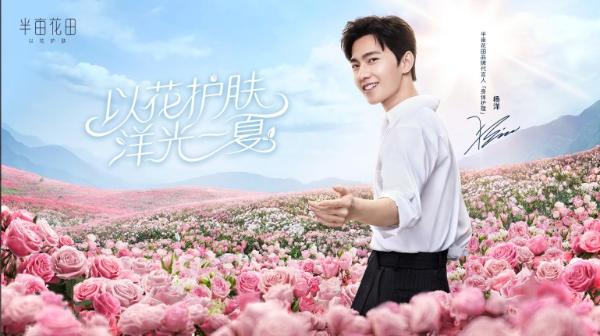 半亩花田的年度总结，竟然只做了一件事
