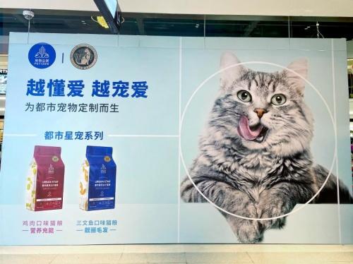  WCCF 2021-2022 国际纯种猫品鉴赛“天猫国际X宠物公民杯”圆满进行