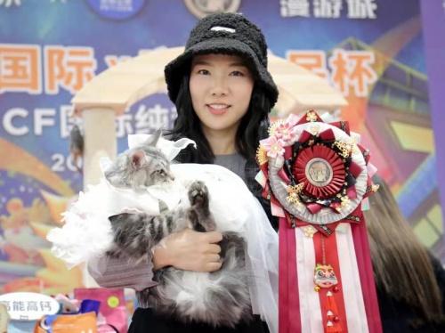  WCCF 2021-2022 国际纯种猫品鉴赛“天猫国际X宠物公民杯”圆满进行