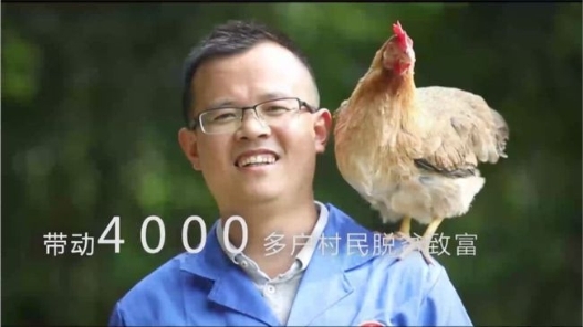 看天农集团如何用技术升级带动清远鸡产业发展