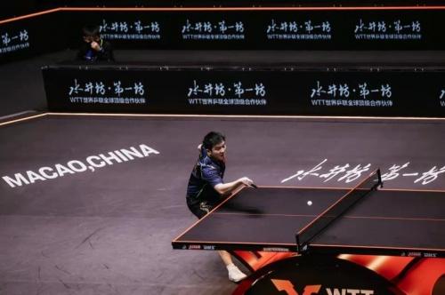  助力全球顶级赛事，水井坊成为WTT世界乒联全球顶级合作伙伴