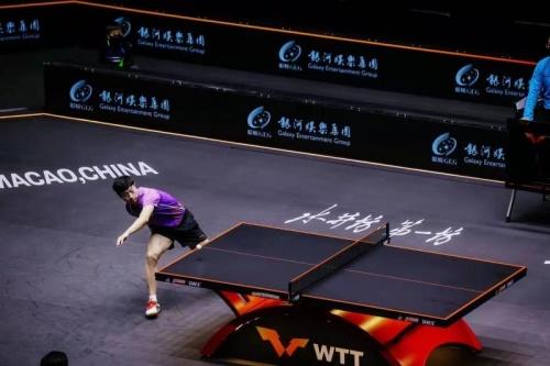  助力全球顶级赛事，水井坊成为WTT世界乒联全球顶级合作伙伴