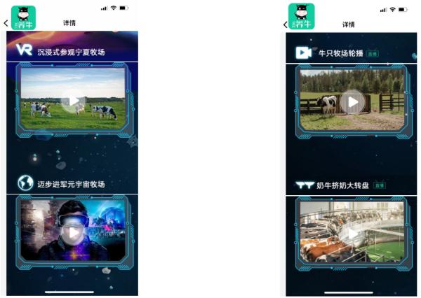 全民养牛APP重大升级|传统畜牧业，也能玩出潮酷科技范儿