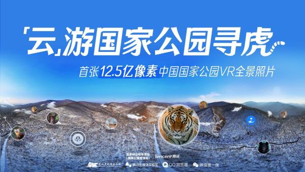 东北虎豹国家公园首次线上开园 推出可手机端120倍放大的VR全景照片