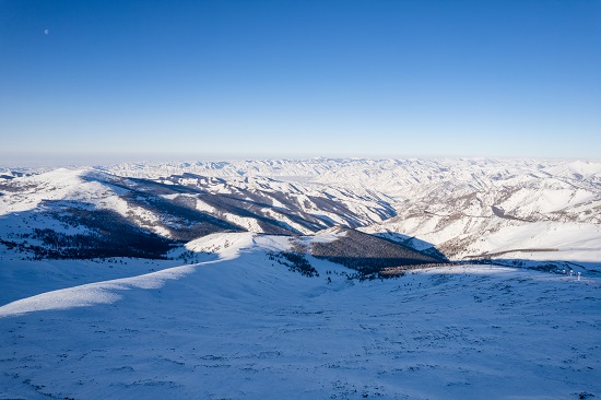 梦幻西游牵手冰雪文旅，可可托海滑雪场邂逅冬梦奇遇