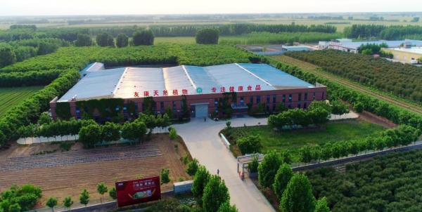 走进山东友康：一颗坚毅恒心，书写麦胚传奇