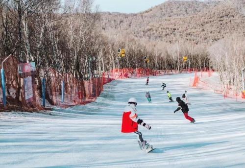 破雪具运输痛点，德邦快递助力冰雪运动普及