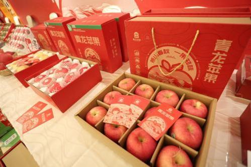  燕山春秋，一果知味 “青龙苹果”区域公用品牌战略发布会成功举行