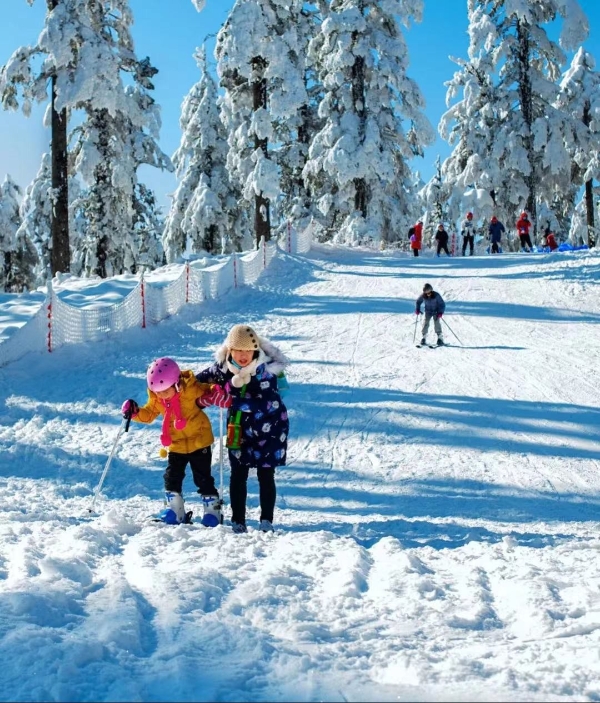  央视1天14次报道瓦屋山，今年的瓦屋山究竟火在哪里？