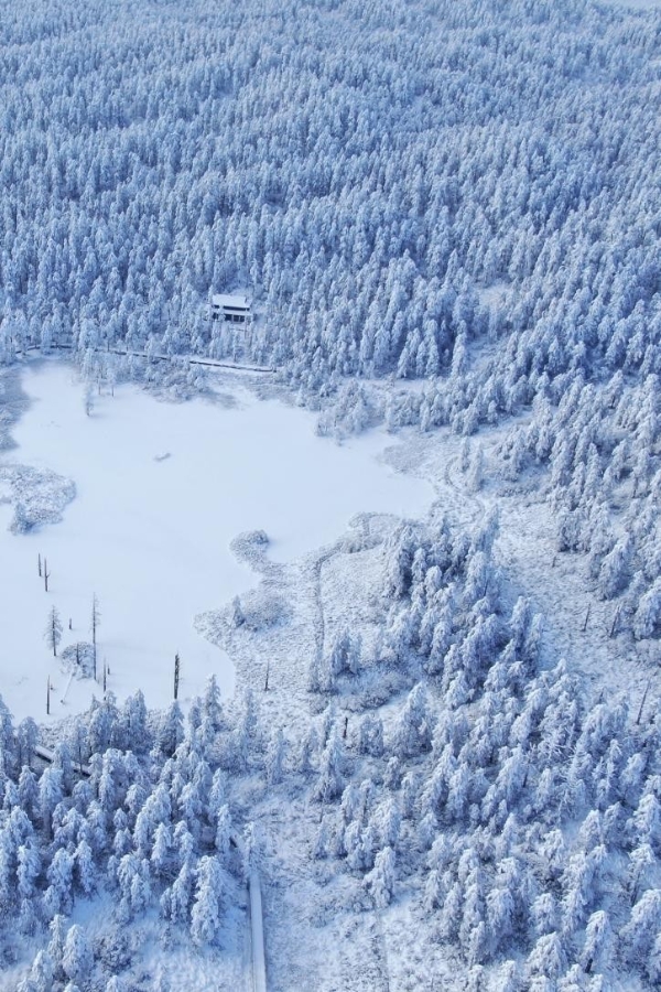  央视1天14次报道瓦屋山，今年的瓦屋山究竟火在哪里？