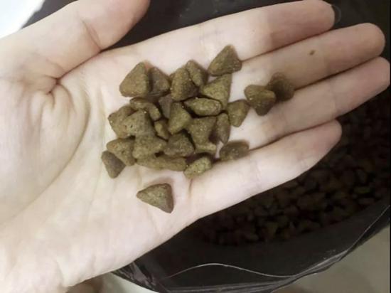 美毛效果就是这么明显！你能拿活力枫叶猫粮怎么样？