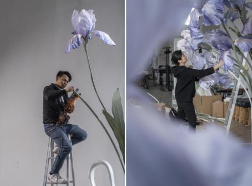  花厨携手阿南纸艺联合开启「鸢尾花季」