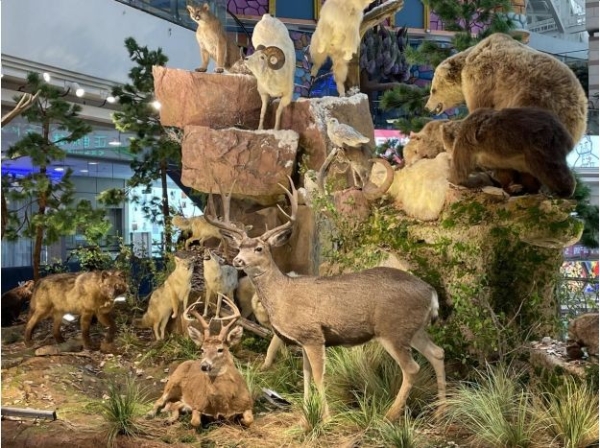 广州正佳广场拉满新年“氛围感” 吸引市民沉浸式畅游感受年味