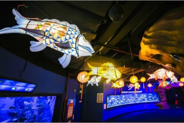 广州正佳广场拉满新年“氛围感” 吸引市民沉浸式畅游感受年味