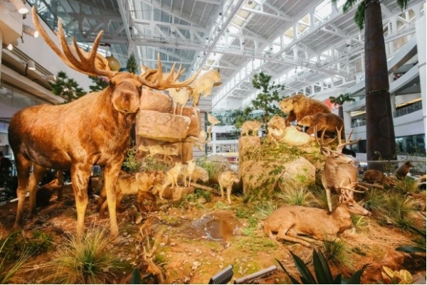 广州正佳广场拉满新年“氛围感” 吸引市民沉浸式畅游感受年味