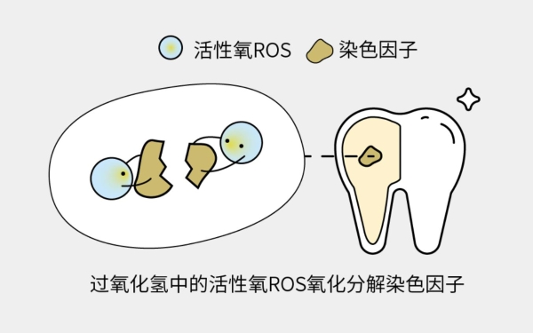 如图片无法显示，请刷新页面
