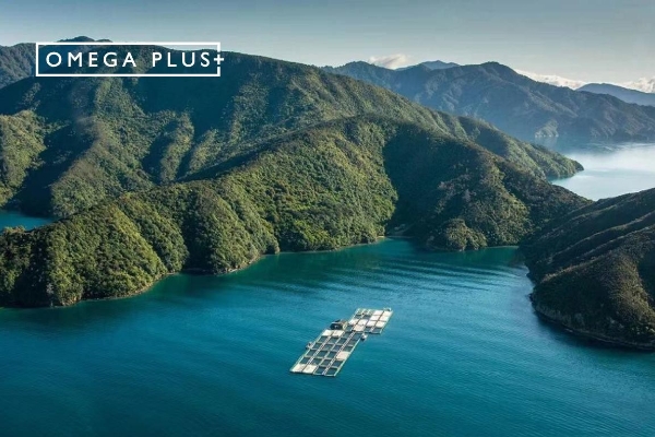 Omega Plus奥鲑冠，让宠物流口水的健康食品品牌