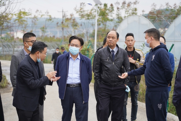  践行社会责任 展现企业担当 国威酒业彰显“国威力量”