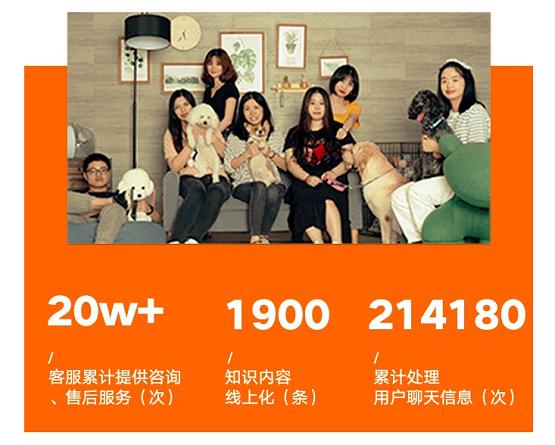  全方位养宠服务，E宠商城最懂“它”