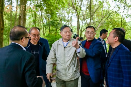  “生态标杆，老酒天成”，酒业专家点赞舍得品质