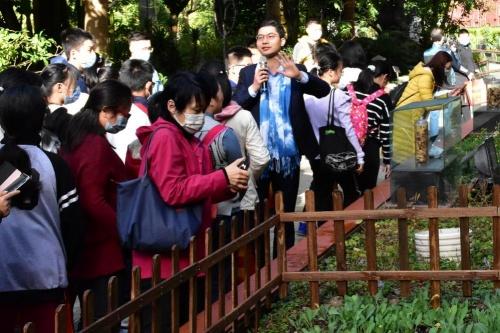  博物馆里逛“潮”墟，过个“逍遥”女神节