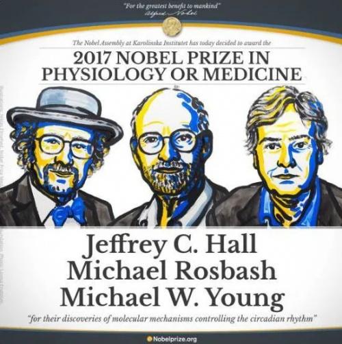  中国睡眠研究会联合爱漫时共同发布《2022中国国民健康睡眠白皮书》