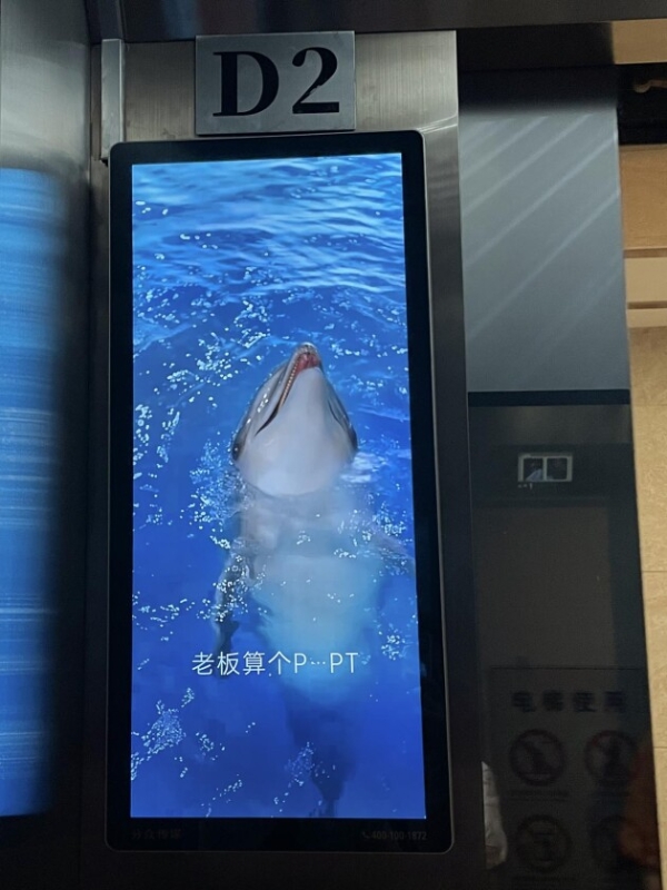 “海豚皮”仿生面膜广告意外走红！网友：海豚成精了