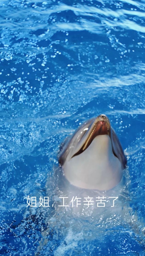 “海豚皮”仿生面膜广告意外走红！网友：海豚成精了