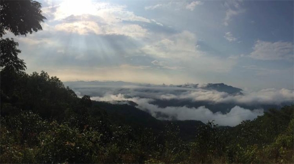  匠心二十载，兴海茶【盛世】【风华】重磅上市