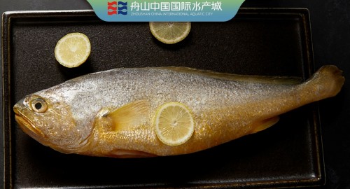 足不出户吃遍时令海鲜，舟山国际水产城牵手天猫农产品